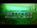 プロアクアリストが実践する水槽の苔対策まとめ 後篇 【お掃除屋さんの数と種類】【苔一覧】