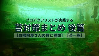 プロアクアリストが実践する水槽の苔対策まとめ 後篇 【お掃除屋さんの数と種類】【苔一覧】