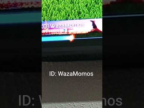 WazaMomos