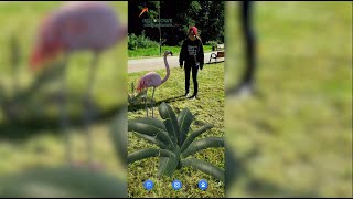 Kolorowe Centrum Świata AR | Augmented reality animals mobile app | Shopping Mall AR