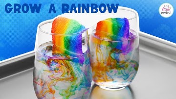 Grow a Rainbow Experiment | Growing a Rainbow STEM Activity
