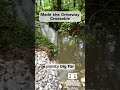 Culvert Installation Basics Creating a Safe Creek Crossing That Lasts