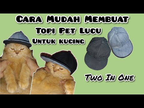 Video: Cara Menjahit Topi Untuk Anjing