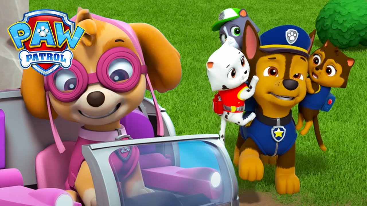 Chase finder borgmesterens forsvundne kattekillinger | PAW Patrol | På Dansk | Tegnefilm for børn
