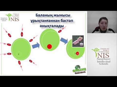 Бейне: Фенотиптік қатынасты қайдан табуға болады?