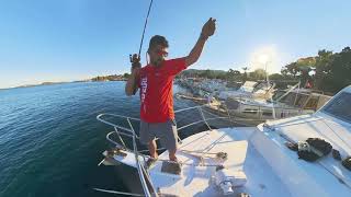 At Çek istavrit Avı İzmir Foça 2023.       Hanfish zıpır 50 micro lures. horse mackerel