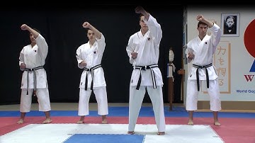 9th Kyu Bascis Video 1