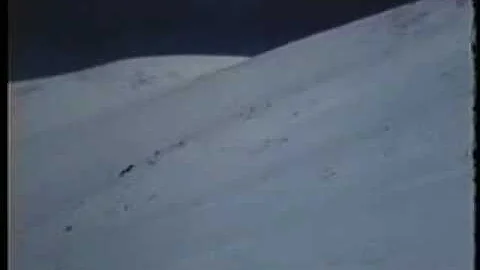 Harvey Carter and Willy Schaeffler skiing Pikes Pe...