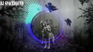 WILD STRANGE  ORIGINAL MIX BY SPACEBOUND (PROMO)