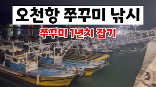 오천항 쭈꾸미낚시 1년치 쭈꾸미 잡기 도전!!