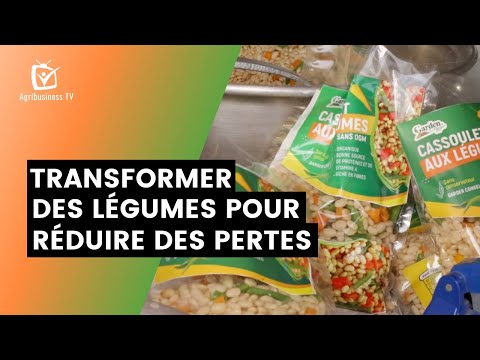 Vidéo: Cultiver des légumes pour le spectacle – Conseils pour présenter des légumes à la foire