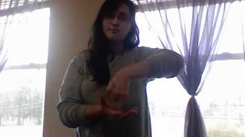 ASL Classifier Video Number 2