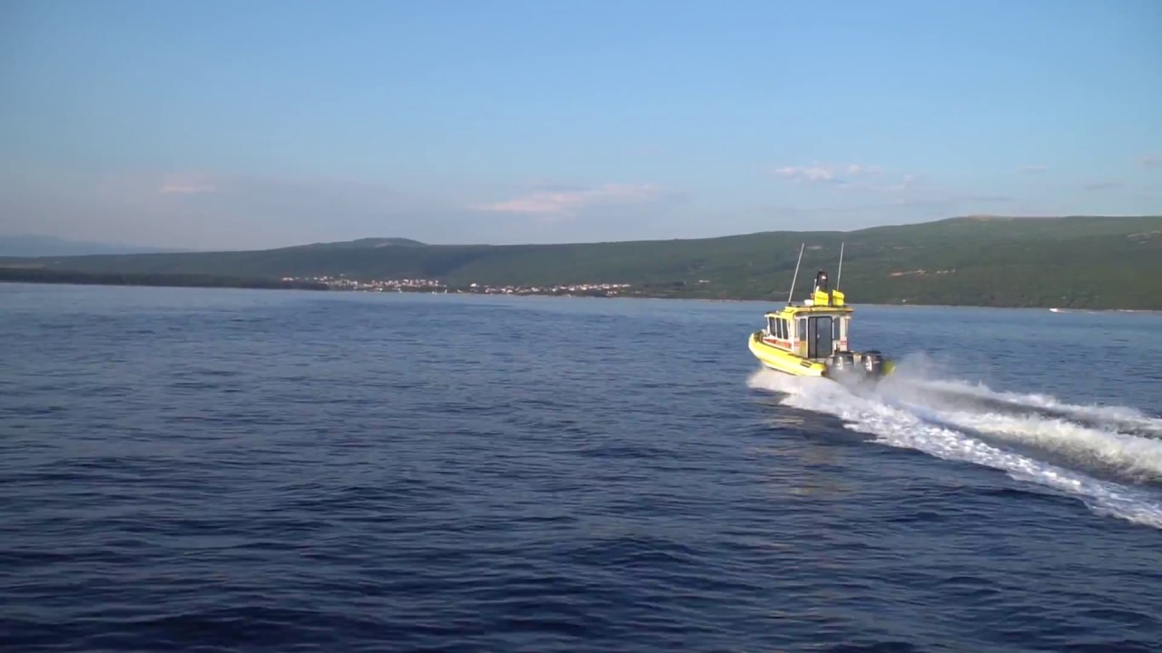 ⁣Schnelle Hilfe auf dem Wasser - SeaHelp im Einsatz