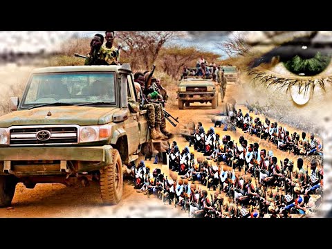 Daawo Dagaalka Itoobiya Eritrea Dds Oo 4 Warshad Oo Waa Wayn Laga Dhisaayo