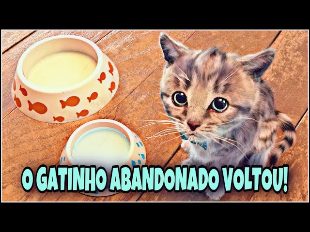 O GATINHO ABANDONADO SONHAVA EM IR PRA ESCOLA PETER TOYS 