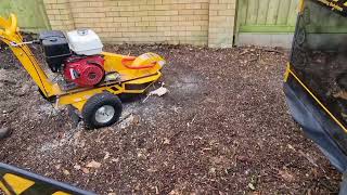 Predator 360 Stump Grinder