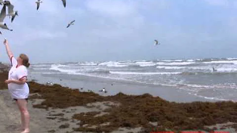 Jill and Tug feeding the Seagulls in Galveston