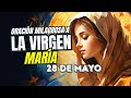 Oración Milagrosa a la Virgen María 28 Mayo