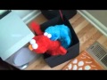 cookie monster humping elmo