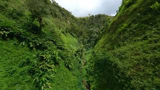 Rain forest Valley. Martinique Cinematic FPV