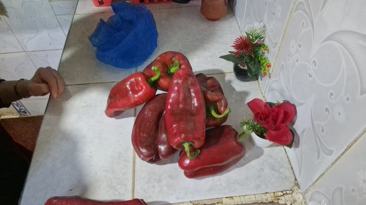 فيديو جديد🤲 الروتين صباحي 😘 مشتريات👌 ديال لقمان ✔️