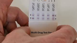 Drug Testing Panel Instructions