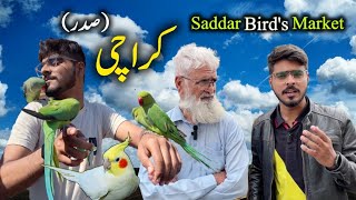 SDDAR Exotic Parrots and Birds Market Latest Update in Urdu Hindi || Birds market 2024 latest update