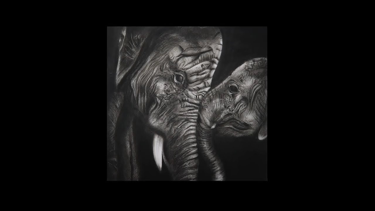 Emotional Elephant Art | Charcoal Drawing of Mother & Calf 