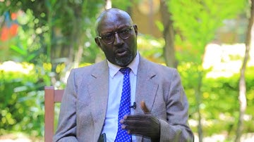 GLOBALink | African scholar warns of risks of zero-sum thinking