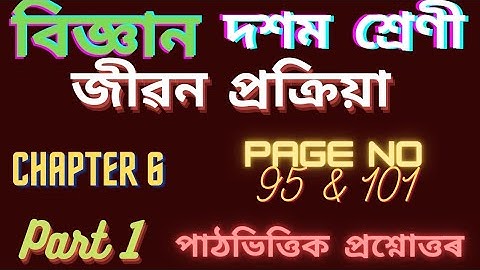 জীৱন প্ৰক্ৰিয়া/ Class 10 Science Chapter 6 Assamese Medium/