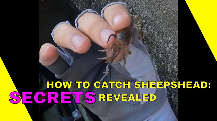 HOW TO CATCH SHEEPSHEAD STEP BY STEP (SECRETS REVEALED)