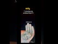 #బాధించే ప్రేమ కన్నా ఓదార్చే ప్రేమ గొప్పది#viralshort #youtubeshorts #@RRvlogs-v5q