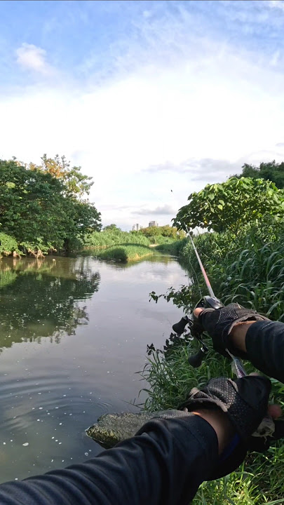 Bismillah  Babon toman #carps #fishing #fyp #angler
