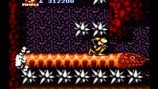 Battletoads in Battlemaniacs (SNES) speed run in 19:56