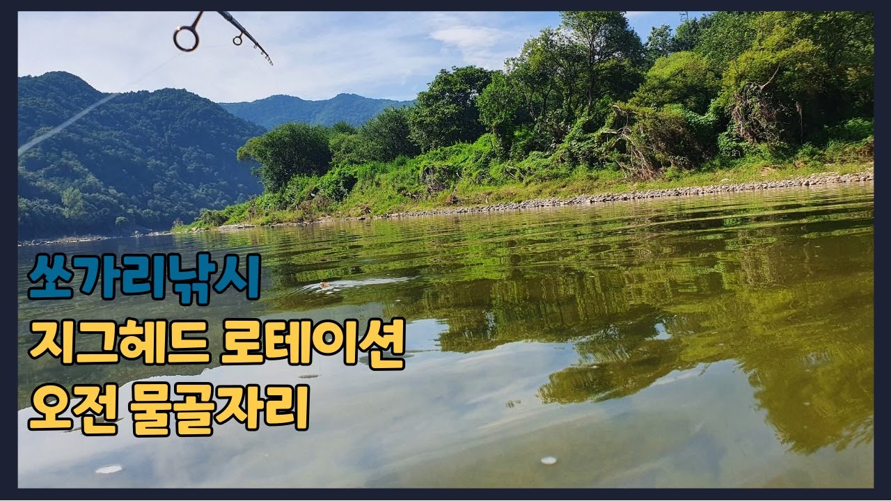 [지그헤드/물골낚시] 짬낚으로 쏘가리 손맛보기 딱 좋네!!