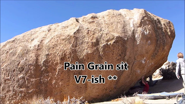 Pain Grain sit V7-ish Buttermilks