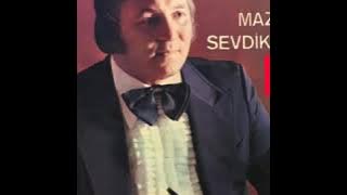 Suat Sayın  Yollar uzak gelemedim  (Plak)