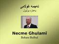 Necme ghulam  behare bulbul