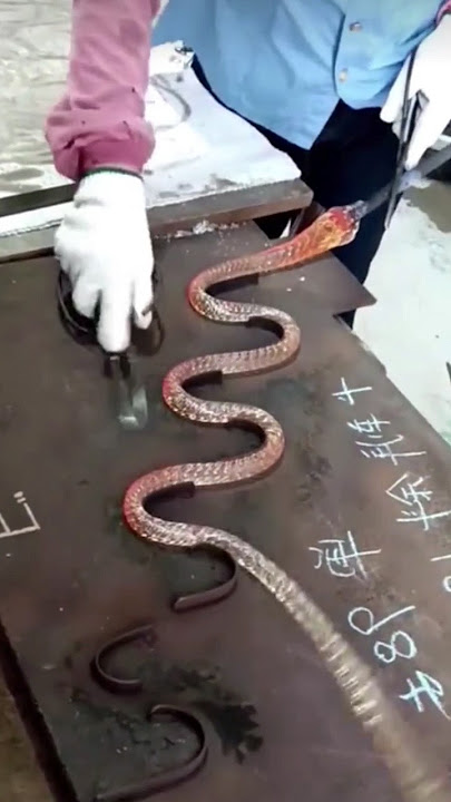 The process of forming a figured glass product in the form of a snake