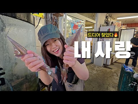 일본 항구마을에서 드디어 찾은 내 사랑