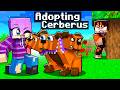 Adopting CERBERUS in Minecraft!