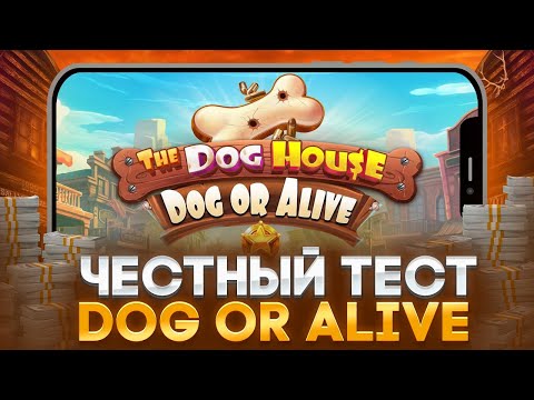 ? THE DOG HOUSE DOG OR ALIVE ? БОЛЬШАЯ ПРОВЕРКА СЛОТА . Рядовой Додепов . Dog or Alive RTP Слота