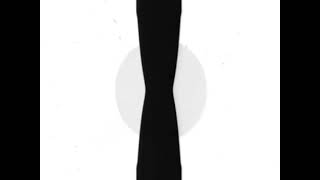 Lg Logo 1995 In G Major 67