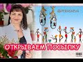 PERASKEVA SILVER JEWELRY ФАМИЛЬНЫЕ ДРАГОЦЕННОСТИ