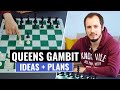 Queen’s Gambit | Basic Ideas, Plans & Strategies | Chess Openings | Andrey Ostrovskiy