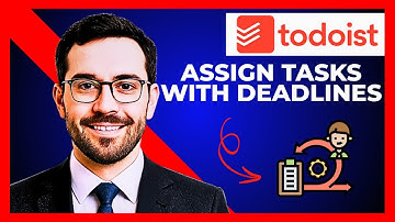 How To Assign Tasks With Deadlines On TODOIST (Complete 2025 Guide)