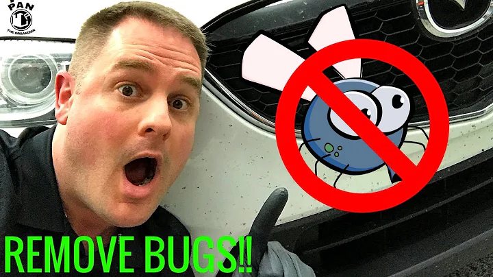 HOW TO REMOVE BUGS FROM A CAR: SUPER EASY !!!