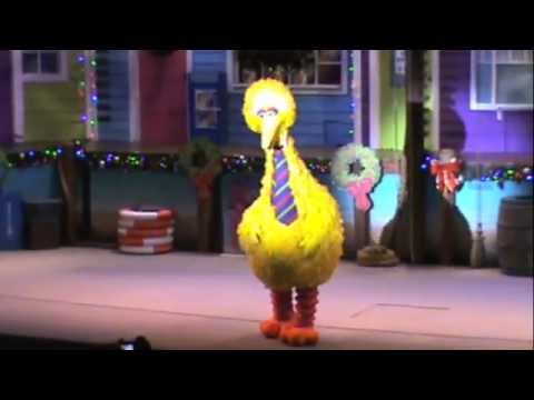 big-bird-takes-a-spill