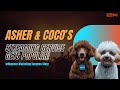 How Entrepreneurs Asher & CoCo Used Ainfluencer to Launch a Viral Streaming Service!