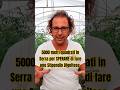 Quante serre per campare con l' agricoltura?